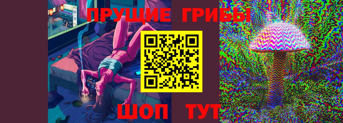 Спасск-Дальний  Галлюциногенные грибы мухоморы  Вход с VPN  Галлюциногенные грибы Psilocybine cubensis 