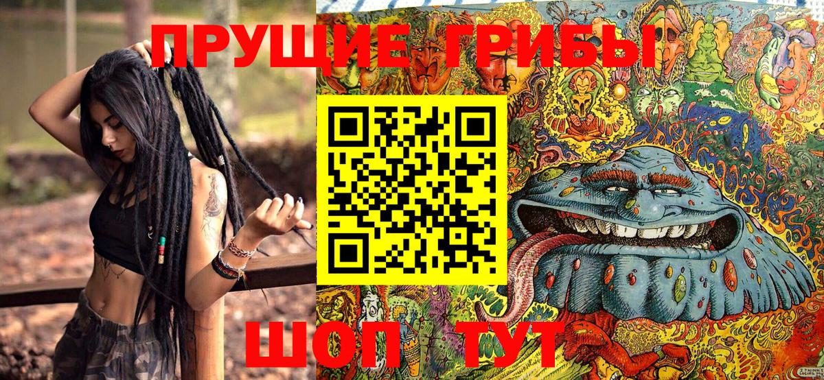Псилоцибиновые грибы GOLDEN TEACHER Спасск-Дальний
